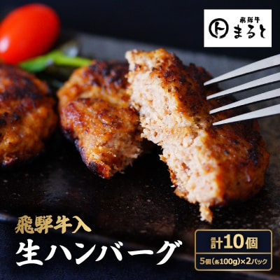 飛騨牛入特製生ハンバーグ　100g×10個【配送不可地域：離島】【1491576】