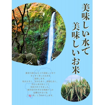 令和7年産　岐阜ハツシモSL　白米　30kg【1690560】