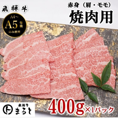 【飛騨牛】赤身焼肉　400g【配送不可地域：離島】【1726920】