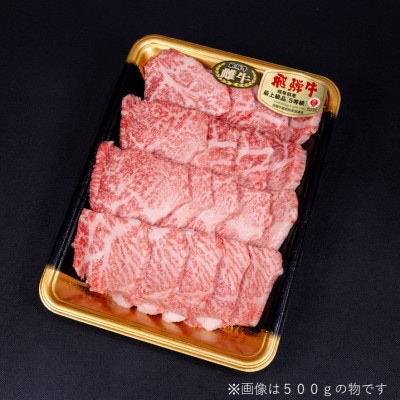 【最飛び雌牛】飛騨牛A5等級モモ焼き肉用　500g【配送不可地域：離島】【1520153】