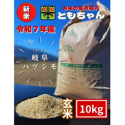 令和7年産　岐阜ハツシモSL　玄米　10kg【1688832】