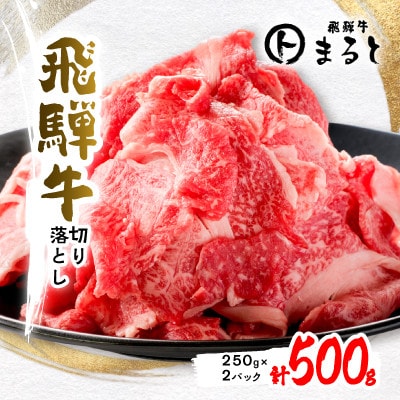 【毎月定期便】飛騨牛　切り落とし250g×2パック　すきやき・しゃぶしゃぶ・牛丼など全6回【配送不可地域：離島】【4085696】