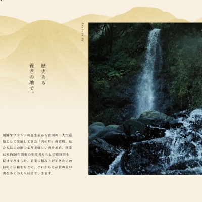 é£éššç ã¢ã¢ããã㯠300gãé
éäžå¯å°åïŒé¢å³¶ãã1622913ã