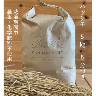 【令和7年産】初霜(源種)5分づき5kg　(栽培期間中農薬・化学肥料不使用)【1721465】