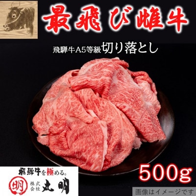 【最飛び雌牛】飛騨牛A5等級切り落とし　500g【配送不可地域：離島】【1520150】