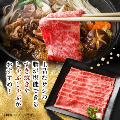 【飛騨牛】モモスライス(すき焼き/しゃぶしゃぶ)600g【配送不可地域：離島】【1046746】