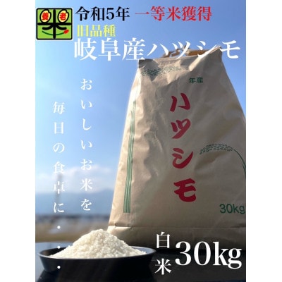 令和6年産　岐阜ハツシモ(旧品種)　30kg 白米【1460336】