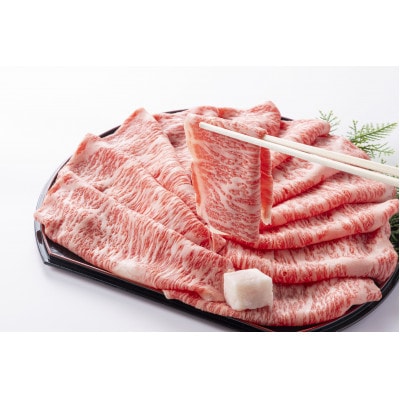 【毎月定期便】飛騨牛5等級ロース・すき焼きしゃぶしゃぶ用 500g全3回【配送不可地域：離島】【4088464】