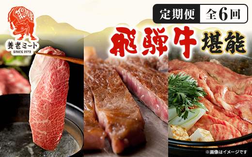 【毎月定期便】月替わりで色々な飛騨牛を楽しめる全6回【配送不可地域：離島】【4051414】