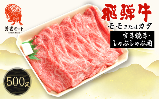 飛騨牛モモもしくはカタ 500g (すき焼き・しゃぶしゃぶ用)【配送不可地域：離島】【1042663】