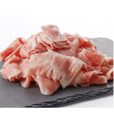 【飛騨牛】切り落とし250g×4　合計1kg【配送不可地域：離島】【1731545】