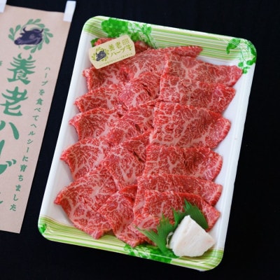 養老ハーブ牛　ロースまたは肩ロース　焼肉用　500g【配送不可地域：離島】【1273633】