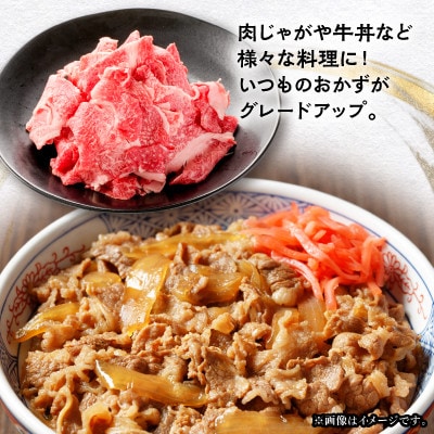 【毎月定期便】飛騨牛　切り落とし250g×2パック　すきやき・しゃぶしゃぶ・牛丼など全6回【配送不可地域：離島】【4085696】