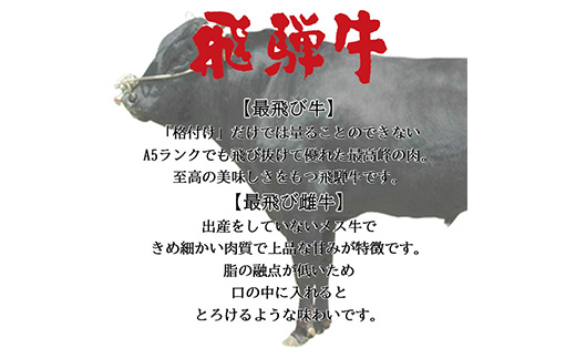【最飛び雌牛】飛騨牛A5等級サーロインステーキ　250g×3枚【配送不可地域：離島】【1520145】