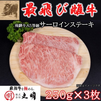 【最飛び雌牛】飛騨牛A5等級サーロインステーキ　250g×3枚【配送不可地域：離島】【1520145】