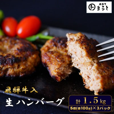 飛騨牛入特製生ハンバーグ　100g×15個【配送不可地域：離島】【1721800】