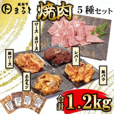 【飛騨牛】焼肉5種セットA-5　ロース・肩ロースと味付けホルモンなど　合計1.2kg【配送不可地域：離島】【1619901】