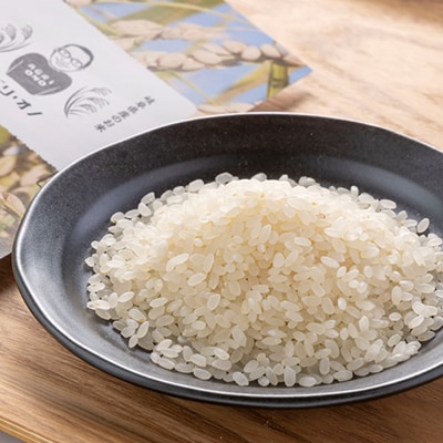 令和7年産 アグリ・オノのこだわり米　ハツシモ　10kg(5kg×2)【1101640】