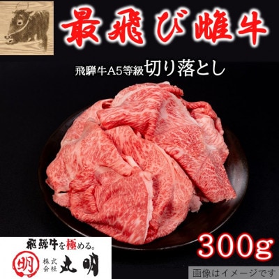 【最飛び雌牛】飛騨牛A5等級切り落とし　300g【配送不可地域：離島】【1520141】