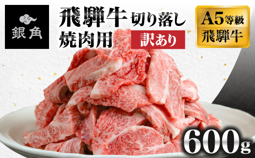 【訳あり】飛騨牛切り落し焼肉用600g【配送不可地域：離島】【1708987】