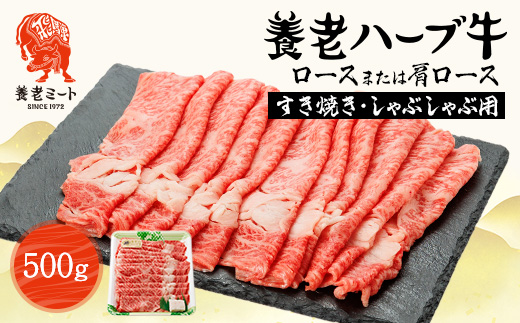 養老ハーブ牛　ロースまたは肩ロース　すき焼き・しゃぶしゃぶ両用　500g【配送不可地域：離島】【1273632】