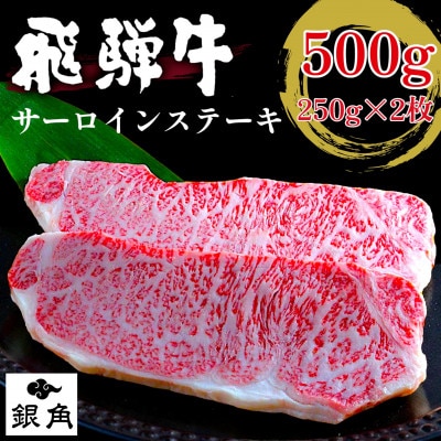厚切り【飛騨牛】サーロインステーキ500g(250g×2枚)【配送不可地域：離島】【1710562】
