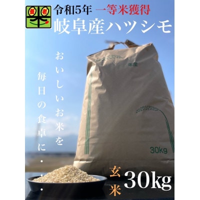 令和6年産　岐阜ハツシモ　30kg 　玄米【1361855】