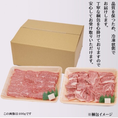 【飛騨牛】焼き肉2種食べ比べセット各300g入　合計600g【配送不可地域：離島】【1614115】