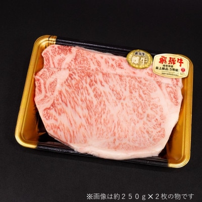 【最飛び雌牛】飛騨牛A5等級サーロインステーキ　250g×3枚【配送不可地域：離島】【1520145】