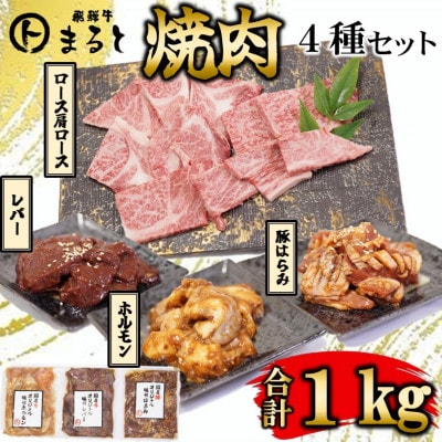【飛騨牛】焼肉4種セットA-2　ロース・肩ロースと味付けホルモンなど　合計1kg【配送不可地域：離島】【1619780】