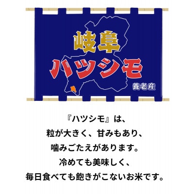令和7年産　岐阜ハツシモSL　白米　30kg【1690560】