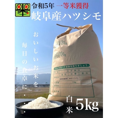 令和6年産　岐阜ハツシモ　5kg　白米【1148642】