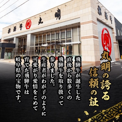 飛騨牛5等級　ヒレ　約150g×2枚【配送不可地域：離島】【1683463】