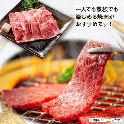 【飛騨牛】ロース(焼肉用)500g【配送不可地域：離島】【1451224】