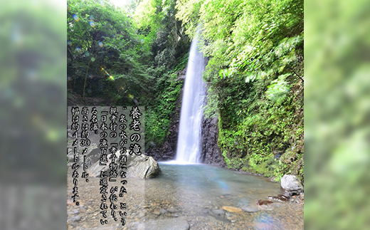 美濃菊　大吟醸中汲み原酒 720ml【1043488】