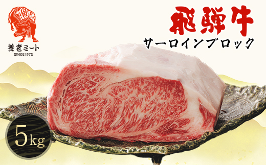 飛騨牛 サーロインブロック 5kg【配送不可地域：離島】【1622929】