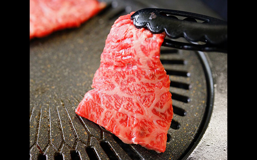 é€èããŒãçãããŒã¹ãŸãã¯è©ããŒã¹ãçŒèçšã500gãé
éäžå¯å°åïŒé¢å³¶ãã1273633ã