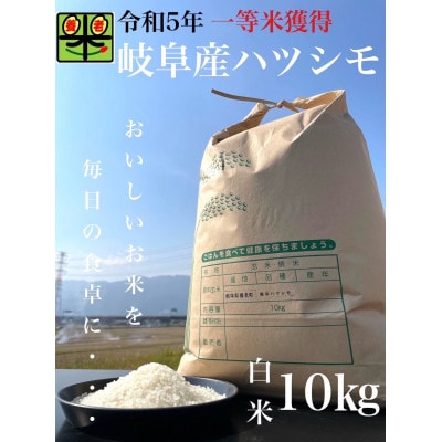 令和6年産　岐阜ハツシモ　10kg　精米【1148640】