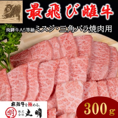 【最飛び雌牛】飛騨牛A5等級ミスジ・三角バラ焼肉用　300g【配送不可地域：離島】【1520158】