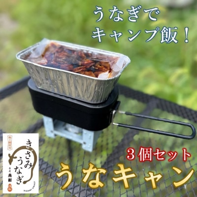 【キャンプ飯】うなぎでキャンプ飯!うなキャン3個セット【配送不可地域：離島・沖縄県】【1443861】