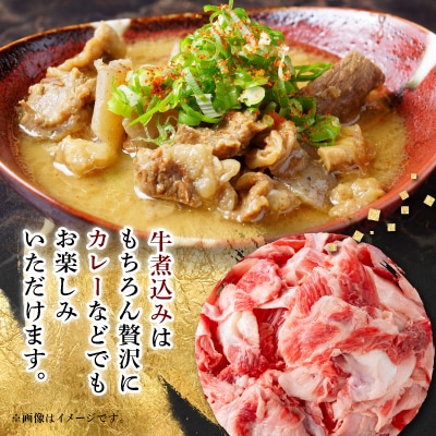 【飛騨牛】スジ肉 煮込み用【1kg/岐阜県産】【配送不可地域：離島】【1336482】