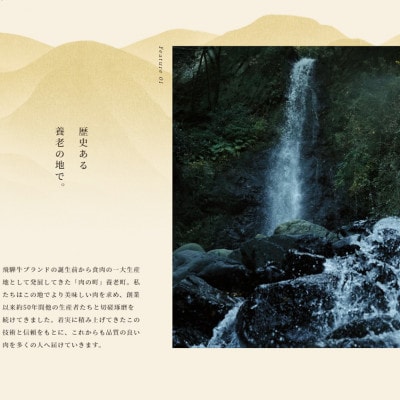 飛騨牛　切り落し　280g　訳あり【配送不可地域：離島】【1622911】