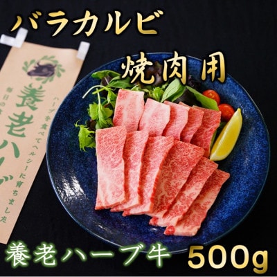 養老ハーブ牛　バラカルビ　焼肉用　500g【配送不可地域：離島】【1273628】