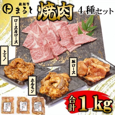 【飛騨牛】焼肉4種セットA-3　ロース・肩ロースと味付けホルモンなど　合計1kg【配送不可地域：離島】【1619896】