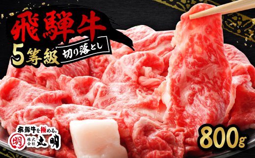 飛騨牛5等級　切り落とし用途いろいろ　800g【配送不可地域：離島】【1668211】