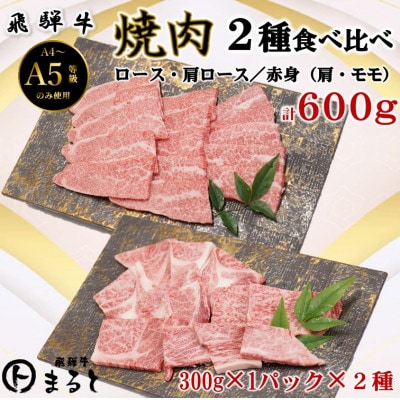 【飛騨牛】焼き肉2種食べ比べセット各300g入　合計600g【配送不可地域：離島】【1614115】