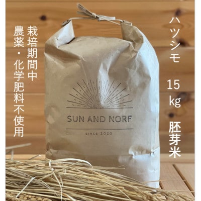 【令和7年産】初霜(源種)胚芽米15kg　(栽培期間中農薬・化学肥料不使用)【1721481】