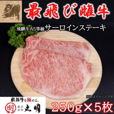 【最飛び雌牛】飛騨牛A5等級サーロインステーキ　250g×5枚【配送不可地域：離島】【1520147】