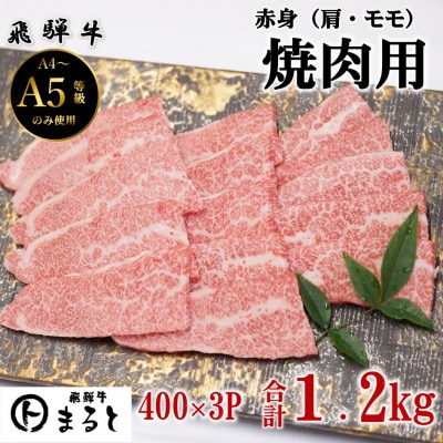 【飛騨牛】赤身焼肉用　400g×3p　(合計1.2kg)【配送不可地域：離島】【1726922】