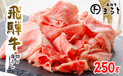 【飛騨牛】切り落とし　250g入り【配送不可地域：離島】【1638261】